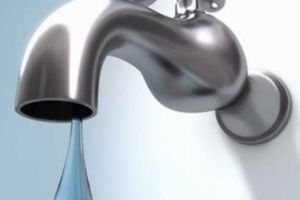 Fără apă în Trivale şi la Moşoaia