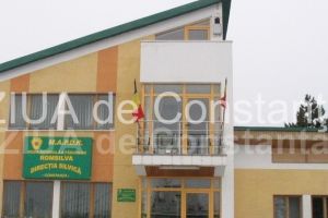 ROMSILVA SA a atribuit contractul de exploatari forestiere, in arealul Directiei Silvice Constanta. Afla care sunt firmele castigatoare (document)