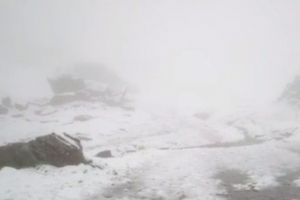 Ninge pe Transfagarasan!