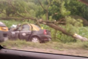 Accident mortal la Livezi