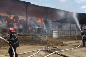 Incendiu de amploare in localitatea Horia judetul Constanta. Mai bine de doua zile s-au luptat pompierii cu flacarile (galerie foto)