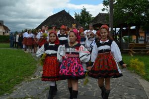 FOTO. Tradiţie şi sânziene în Oaş. Spectacol pentru delegaţia germană