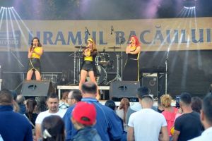 Distracţie de weekend