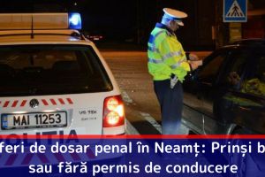 Șoferi de dosar penal în Neamţ: Prinşi beţi sau fără permis de conducere