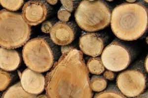 Material lemnos cu documente false, confiscat de poliţişti