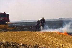 Pompierii – pregatiti sa intervina la arderile ilegale de vegetatie. Controale la operatorii economici