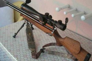 „Luneta” JUSTIȚIEI s-a dovedit mai tare: Trei persoane CONDAMNATE definitiv pentru braconaj de Curtea de Apel Alba Iulia