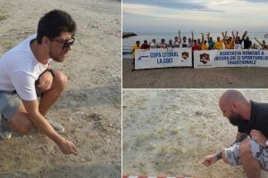 Traditie reinviata la Constanta: Cupa Litoral la coci, cu Farul, Viitorul, Soimii Patriei si Traiasca Berea printre echipele participante (galerie foto)  