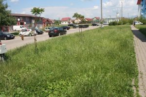 Începe a doua cosire a ierbii la Bistriţa. Pe câte străzi se va lucra şi în cât timp va fi gata