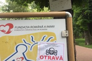Plantele şi animalele din Parcul Municipal, în pericol. Ce arbori ocroteşte administraţia locală