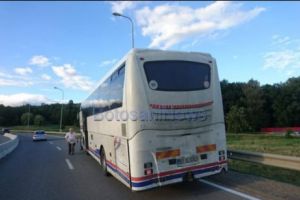 Accident stupid la Botoşani! Şoferul a fost la un pas de infarct când a văzut