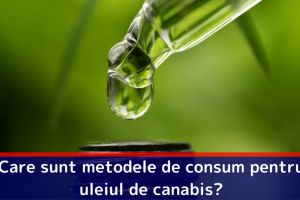 Care sunt metodele de consum pentru uleiul de canabis?