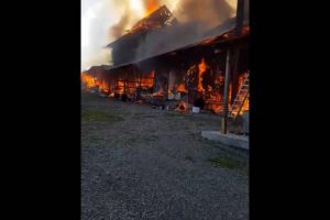 Flăcări apocaliptice au distrus chiliile Mănăstirii „Sf. Mina”