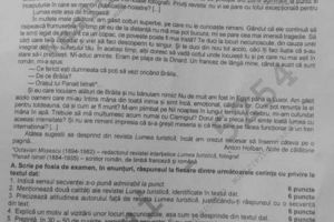 FOTO/VIDEO: Subiecte Bacalaureat 2018 la limba română. Absolvenţii de liceu au susţinut prima probă a examenului