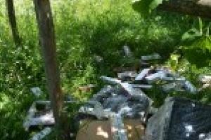 Focuri de arma pentru retinerea unui contrabandist