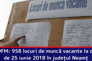 AJOFM: 958 locuri de muncă vacante la data de 25 iunie 2018 în judeţul Neamţ