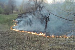 ULTIMĂ ORĂ: Incendiu extins pe 3 hectare de vegetaţie uscată, la Vulturu