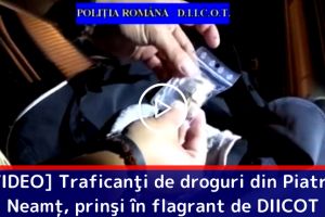 [VIDEO] Traficanţi de droguri din Piatra-Neamţ, prinşi în flagrant de DIICOT