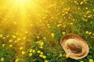 PROGNOZA METEO PE DOUĂ SĂPTĂMÂNI: Ne mai bucurăm câteva zile de răcoare, apoi canicula se întoarce