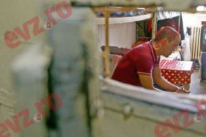 Tulburările comportamentale ale deţinuţilor, analizate de psihiatri