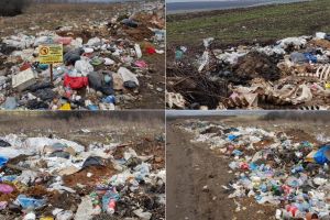 Războiul GUNOIULUI în judeţul Alba, etapa de contestaţii: CNSC a anulat raportul procedurii privind concesionarea serviciului de colectare a deşeurilor din zona Blaj