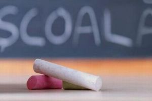 Aproape 3.000 de elevi braşoveni s-au „pierdut” pe parcursul celor 12 ani de şcoală