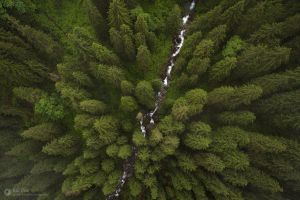 Acţiune de ecologizare a pâraielor din Borsec