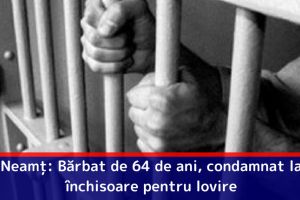 Neamţ: Bărbat de 64 de ani, condamnat la închisoare pentru lovire