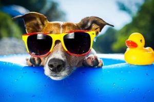 Cum rezolvi 8 probleme estivale de care se loveşte toată lumea