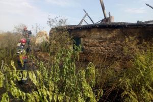 Incendiu de amploare in judetul Tulcea. Pompierii ISU Delta chemati in ajutor in localitatea Salcioara (galerie foto)