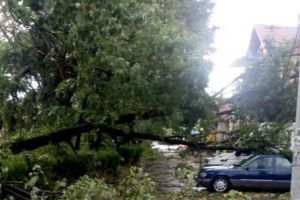 VREMEA a făcut RAVAGII în judeţul Braşov. Patru persoane au fost RĂNITE, dintre care doi MINORI