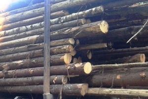 Material lemnos fără documente, confiscat de poliţişti