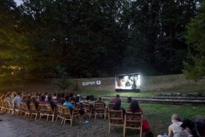 Filme şi artă contemporană, la cea de a VII-a ediţie a proiectului „Pădurea rotundă”
