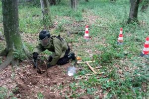 A plecat la cules de ciuperci şi a dat peste proiectile de artilerie