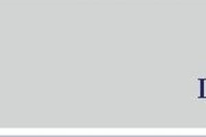 Planurile LDP Security: înfiinţarea unui dispecerat, angajări de agenţi, noi maşini de patrulare