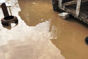 ULTIMĂ ORĂ: Curtea RAR Vrancea şi mai multe locuinţe au fost INUNDATE