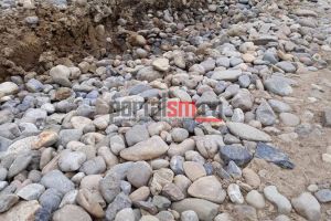 FOTO. Bătaie de joc în judeţul Satu Mare. Şi vacile rămân împotmolite în drum!