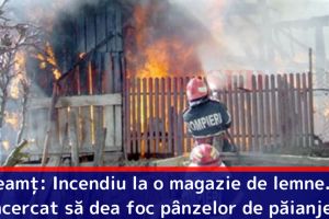 Neamţ: Incendiu la o magazie de lemne. Propietarul a încercat să cureţe pânzele de păianjen cu o făclie