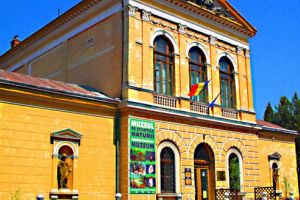 „Şcoala de vară la Muzeu” continuă