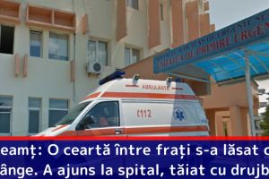 Neamţ: O ceartă între fraţi s-a lăsat cu sânge. A ajuns la spital, tăiat cu drujba