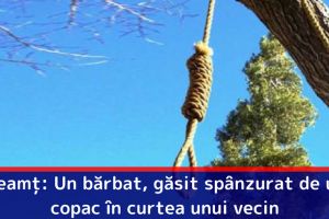 Neamţ: Un bărbat, găsit spânzurat de un copac în curtea unui vecin