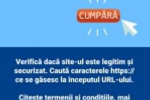 CE TREBUIE SA AVETI IN VEDERE CAND FACETI CUMPARATURI PE INTERNET, PENTRU A NU FI PAGUBITI