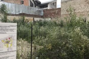 Micro-jungla de pe Ţepeş Vodă