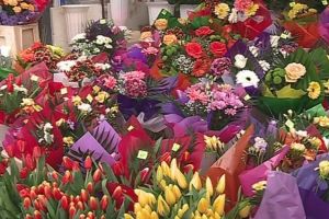 ADP Oradea închiriază module în Tronsonul flori din Piaţa Rogerius