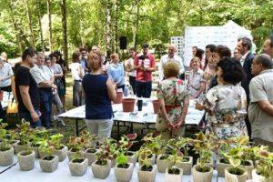 Fundaţia Groupe Renault România la debut: acţiuni de împădurire cu impact naţional