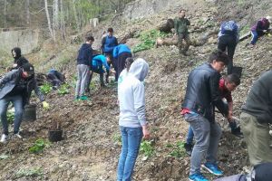 Elevii din judeţul Vâlcea, cei mai buni din ţară la „Igienizare” în cadrul Concursului Naţional ecOprovocarea