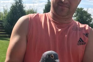 Campionatul porumbeilor voiajori: Marius Șandro a câştigat primele 7 locuri