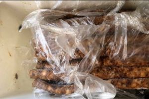 MÂNCARE gătită din PRODUSE EXPIRATE în bucătăria invadată de GÂNDACI. Restaurant închis de OPC, la MEDGIDIA