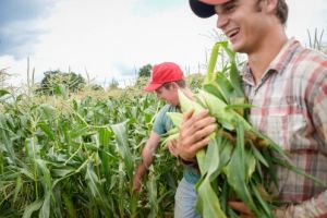 Întâlniri de lucru cu potenţialii beneficiari ai submăsurilor 6.1 şi 6.3