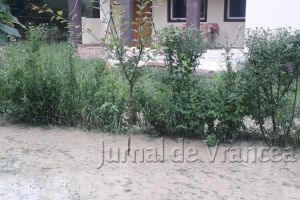 Femeie din Cîmpuri, evacuată din casa invadată de ape